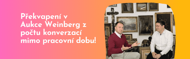 Chatbot Aukce Weinberg