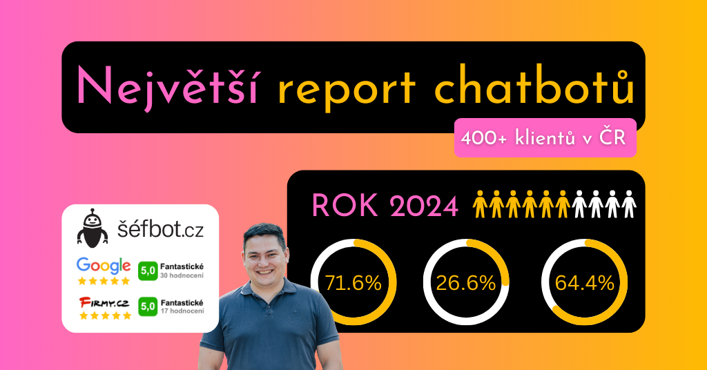 nejvetsi_report_chatbot_sefbot_2024