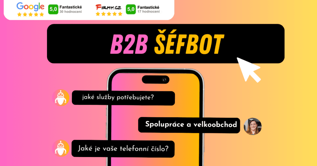 chatbot_pro_b2b