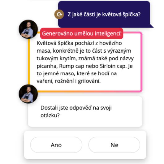 ai_chatbot_ukazka_sefbot (530 x 530 px)